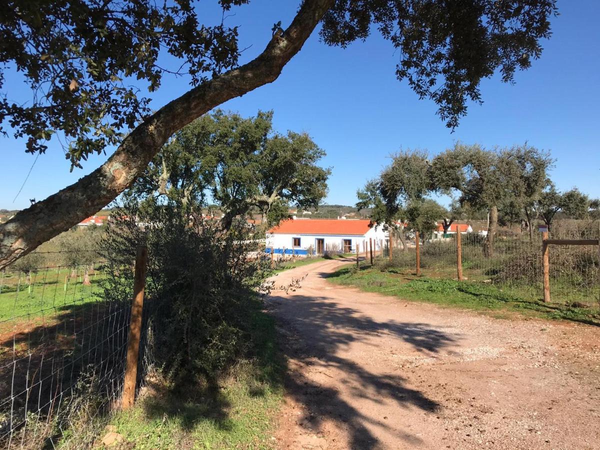 Herdade Da Maridona - Agroturismo Estremoz Exteriör bild