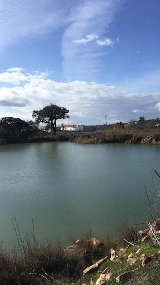 Herdade Da Maridona - Agroturismo Estremoz Exteriör bild