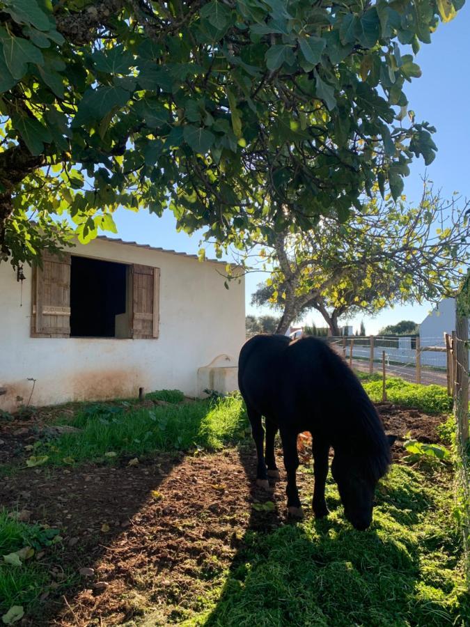 Herdade Da Maridona - Agroturismo Estremoz Exteriör bild
